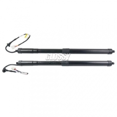 Rear Left And Right Electric Tailgate Gas Spring For Toyota RAV4 2019-2020 Sport Utility 6892042020 68920-42020 68910-0R060 689100R060 68910-42060 6891042060