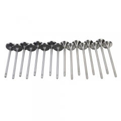 16PCS Intake&Exhaust Valves for Mini Cooper S R56 Hatchback 1.6T 11347587470 11347547187