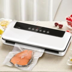 Fully Automatic Vacuum Food Sealer With Dry Moist Mode For Vaccum Food Storage