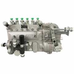 Fuel Injection Pump 13021363 10402376075 for Weichai Deutz TBD226B-6