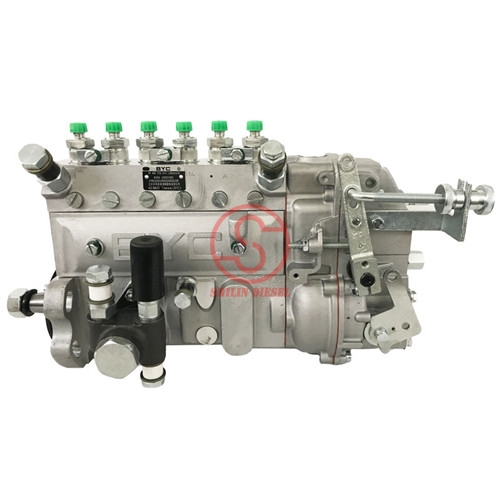 Pompe à Injection de carburant 13021363 10402376075 pour Weichai Deutz TBD226B-6