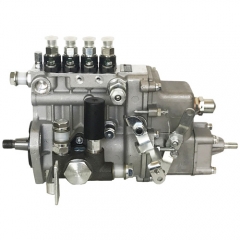 Pompe d'injection de carburant Diesel 4PL1156 BHF4PM100001 pour Yangchai YZ4102ZLQ