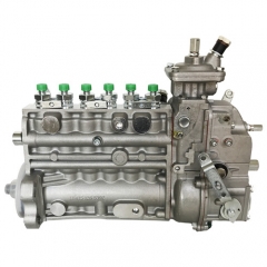 Diesel Injection Pump 10400876072 for Beinei-Deutz BF6L913G