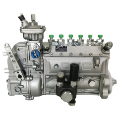 Diesel Injection Pump 10400876072 for Beinei-Deutz BF6L913G