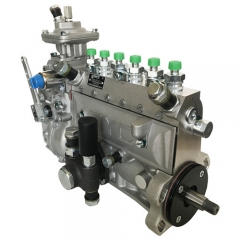 Pompe d'injection Diesel 10400876072 pour Beinei-Deutz BF6L913G