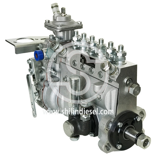 Diesel Injection Pump 13031786 B6AD548C1 for Weichai TD226B-6