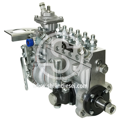 Pompe à Injection Diesel 13031786 B6AD548C1 pour Weichai TD226B-6