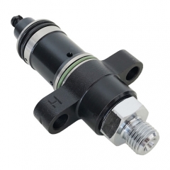 Injection Pump Element F019D01303 for Bosch CB18 Common-Rail Pump