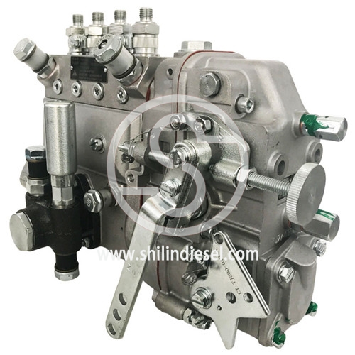 Diesel Fuel Injection Pump 13021656 BH6AD95R B4AD507 for Weichai-Deutz TD226B