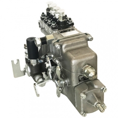 Pompe d'injection de carburant Diesel 4PL1156 BHF4PM100001 2100252 pour Yangchai YZ4102ZLQ