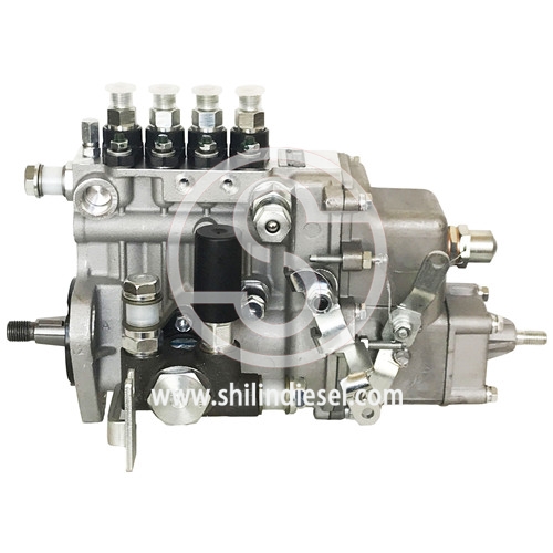 Diesel Fuel Injection Pump 4PL1156 BHF4PM100001 2100252 for Yangchai YZ4102ZLQ