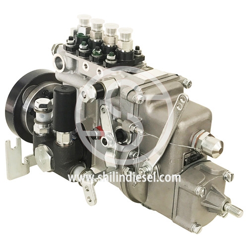 Pompe d'injection de carburant Diesel 4PL1352 2100504 pour Yangchai YZ4102QF