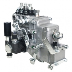 Pompe d'injection de carburant 3IW230-80-1200 BHF3IW080030 pour LIJIA Diesel SL3100AB