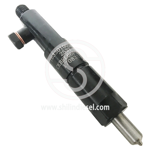 Injecteur de carburant Diesel Assy T63301002 CKBEL66P972 pour le moteur LOVOL 1004