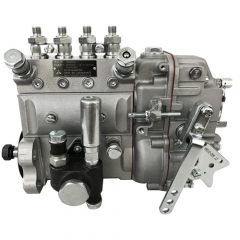 NYC Fuel Injection Pump 13022616 B4AD545 BH4AD95R for WEICHAI TD226B-4