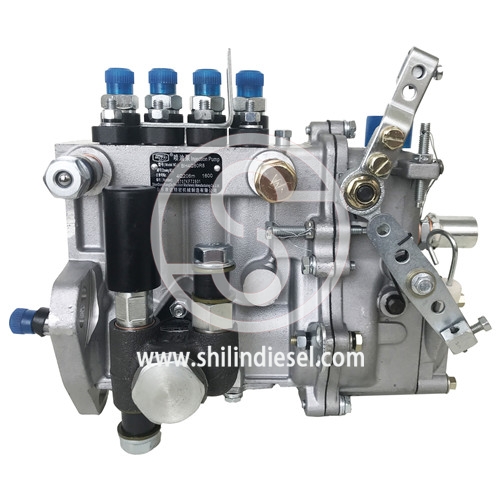 Pompe à carburant Diesel KANGDA 4Q206m BH4Q80R8 pour le moteur YUNEI