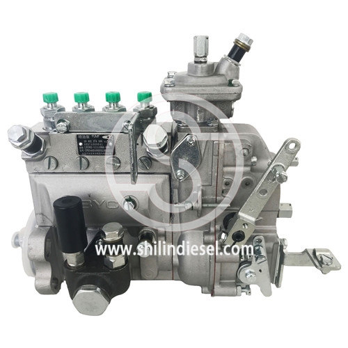 Pompe d'injection Diesel de BYC 10402374160 1JG302-1111100-005 pour YUCHAI 4105