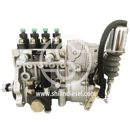BYC Fuel Injection Pump T73208218 10403574006 for LOVOL 1004TG