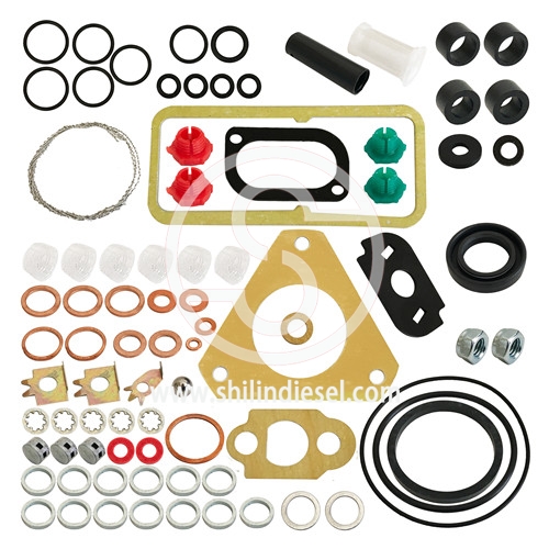 Injection Pump Overhaul Kit 7135-110 for Delphi/Lucas Fuel Pump