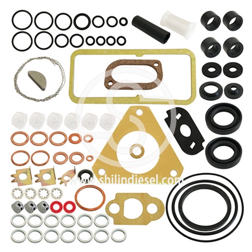 Injection Pump Repair Kit 7135-112 for Delphi/Lucas Fuel Pump