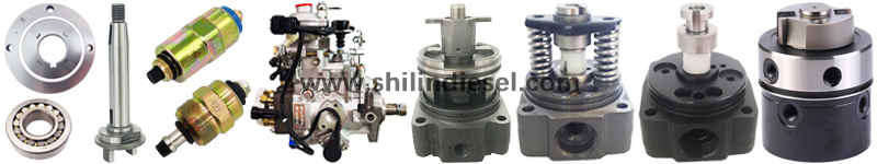 BOSCH VE INJECTION PUMP SPARE PARTS