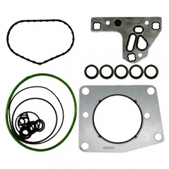 Kit de réparation de pompe à essence 4921433 4010636 pour Cummins 3973228/4921431/4902731/4954200