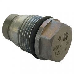 Pressure Relief Valve 1110010028 5317174 for CUMMINS/FENT