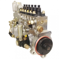 Longbeng Injection Pump BP5B36 BH6P110 CP10Z-P10Z022 for Shanghai Diesel