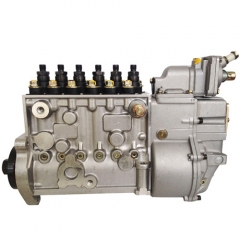 Longbeng Injection Pump BP5B36 BH6P110 CP10Z-P10Z022 for Shanghai Diesel