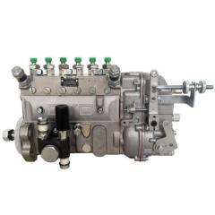 BYC Injection Pump 10402376154 13020436 for Weichai-Deutz TBD226B-6