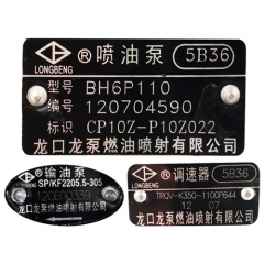 Longbeng Injection Pump BP5B36 BH6P110 CP10Z-P10Z022 for Shanghai Diesel