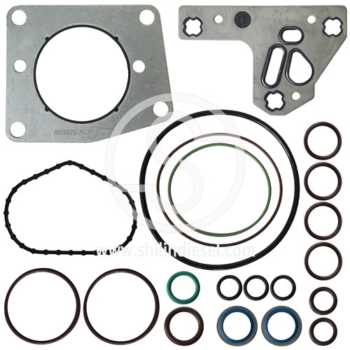 Kit de réparation de pompe à essence 4921433 4010636 pour Cummins 3973228/4921431/4902731/4954200