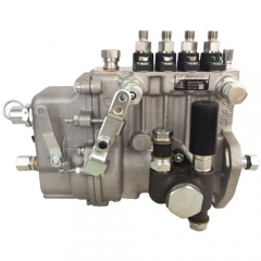 WEIFU Pompe d'injection de carburant 4PL1231 BHF4PL080040 pour KIPOR Power KD488