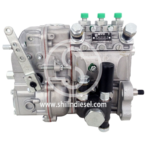 BYC Injection Pump 10400873003 CPES3A80D410RS2176 for DEUTZ F3L912