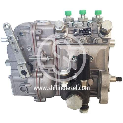 BYC Injection Pump 10400873001 CPES3A80D410RS2176 for DEUTZ F3L912