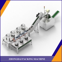 Screw Packing Machine with Seven Bowls Chain Conveyor