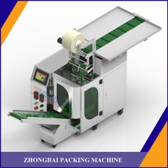 Infeed Conveyor Packing Machine