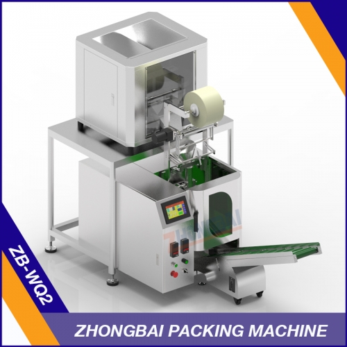 Weighing Packing Machine ZB-WQ2