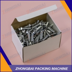 Fastener Carton Box Packing Machine