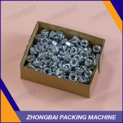 Fastener Carton Box Packing Machine