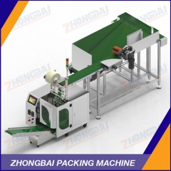Plastic Cap Packing Machine