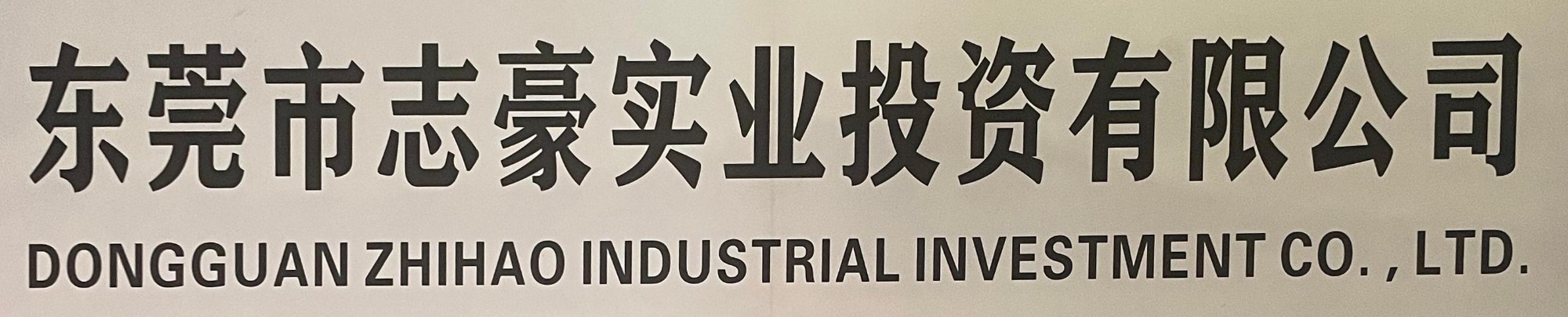 东莞市志豪实业投资有限公司