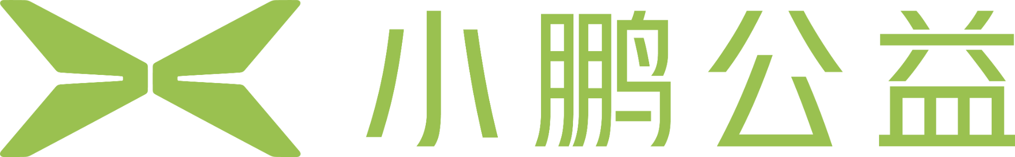 广州市小鹏公益基金会