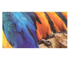 Filme térmico plástico certificado iso da laminação para o laminado da impressão da imprensa do cargo