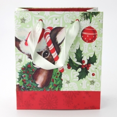 New Design Christmas Craft Custom Standard Sizes Cartoon Flat Handle Bags Eco Paper Bag