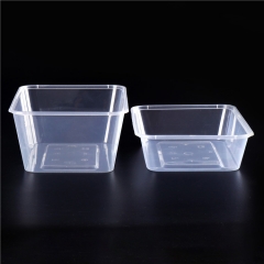 Disposable 750ml Rectangular Disposable Plastic Food Containers