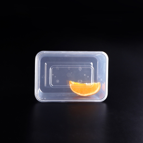 Large clear rectangular plastic storage container and lid