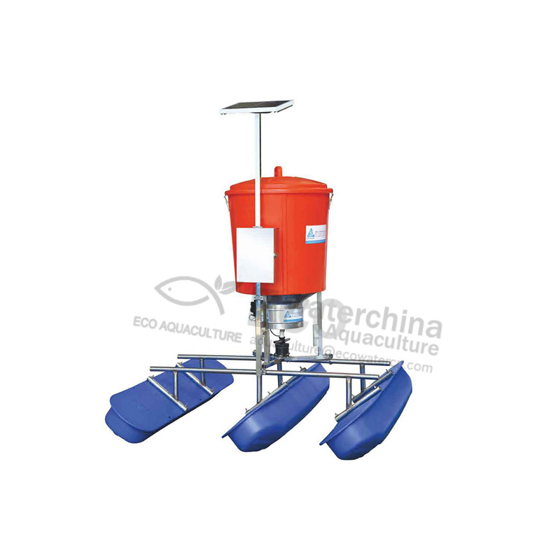 Automatic shop shrimp feeder