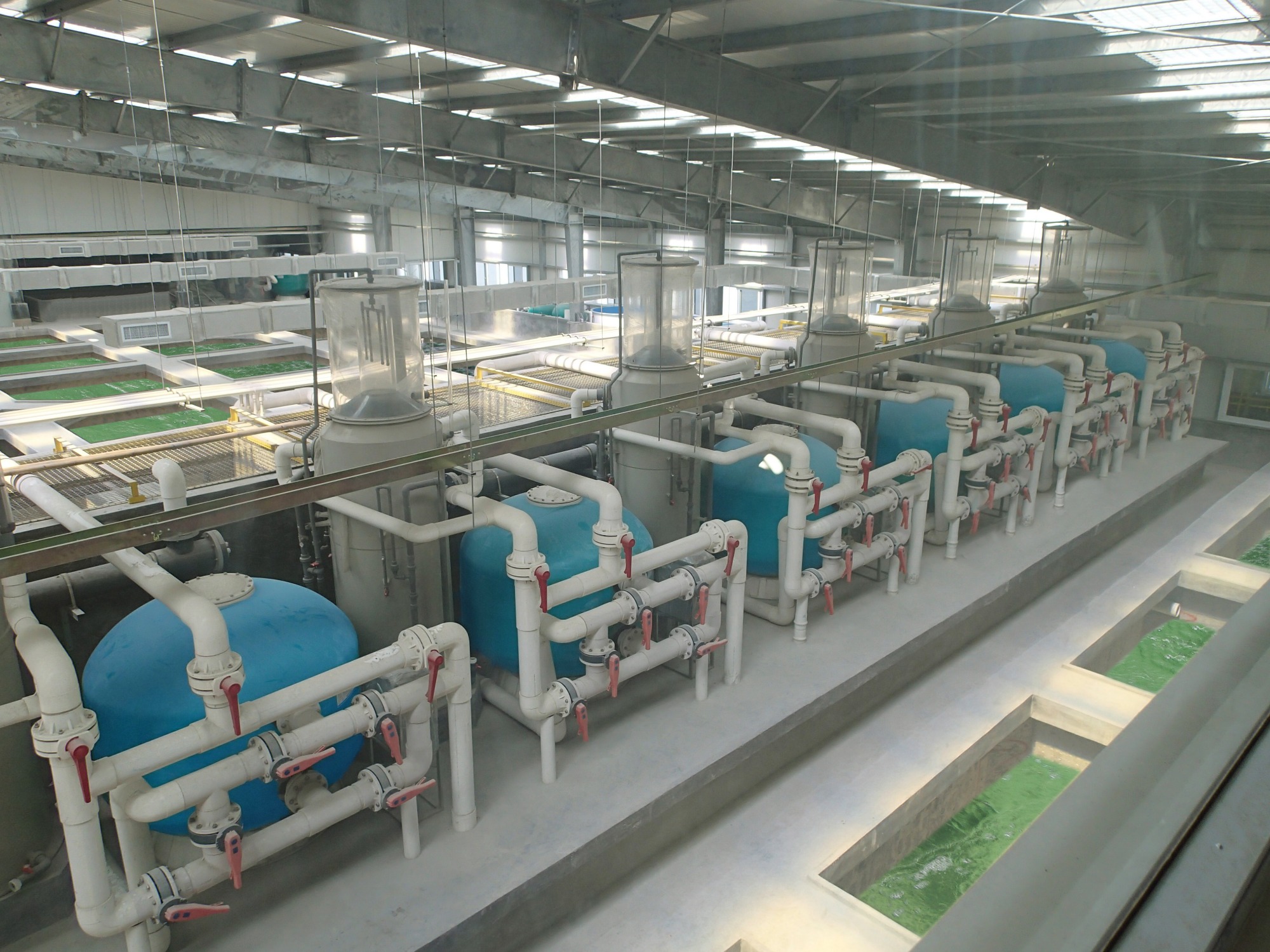 Aquaculture ras system fish farming recirculating water equipment seawater intensive fresh