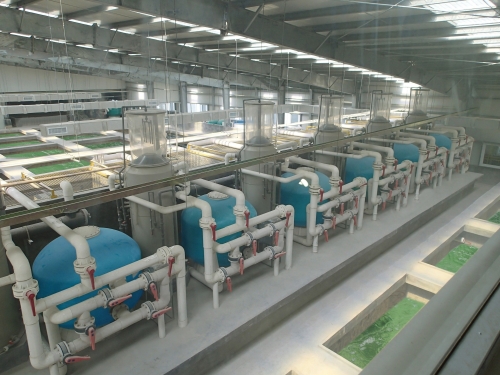 Seawater and fresh water RAS/Recirculating aquaculture system fish farming equipment system for intensive aquaculture